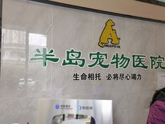 -半岛宠物医院24小时(科华中路店)