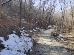 -北京西山国家森林公园