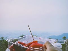 -广州市白云山风景名胜区