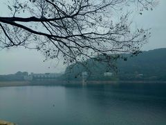 -花亭湖风景名胜区