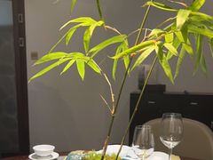-山壹竹庭院餐厅