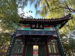 -济南国际园博园