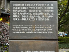 -泡桐树街