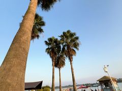 -柳湖沙月沙滩公园
