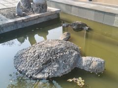 -平湖九龙山旅游度假区