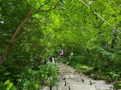 -王顺山国家森林公园