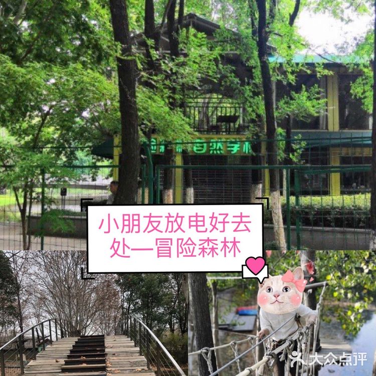 小朋友放电好去处—冒险森林·户外教育营地