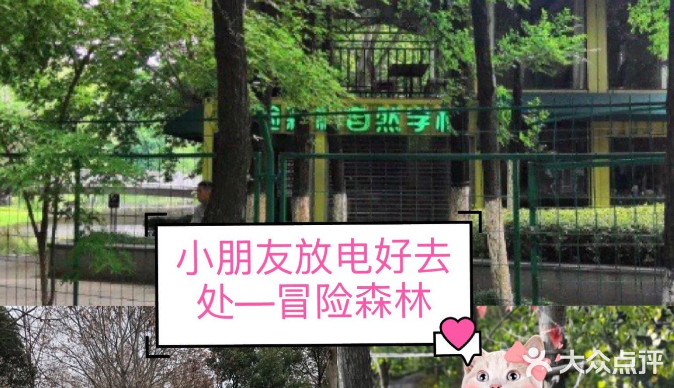 小朋友放电好去处—冒险森林·户外教育营地