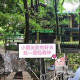 小朋友放电好去处—冒险森林·户外教育营地