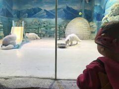 -华夏文旅海洋公园