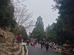 -南岳衡山风景名胜区