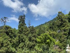 -东天目山风景区