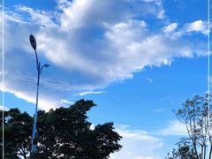 -洱海月湿地公园