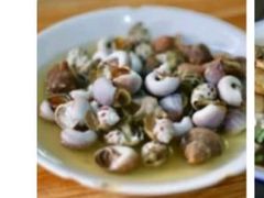 -大树下饭店(春晓镇慈岙社区卫生服务站南)