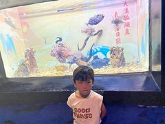 -烟台海昌鲸鲨海洋公园