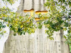 -天梯