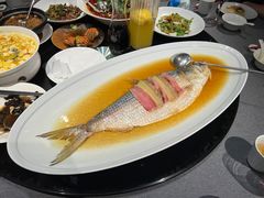 酒香蒸鲥鱼-HOMES上海本帮菜(襄阳公园店)
