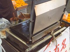 -孙奶奶葱包桧