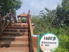 -大岭沟猕猴桃谷风景区