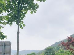 -华溪森林公园-售票处