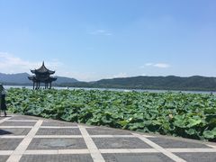 -西湖游船