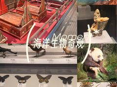 -四川大学博物馆