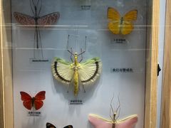 -大连自然博物馆
