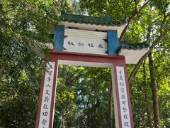 -顺峰山公园