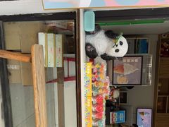 -六时安·熊猫张甜品店(东关街店)