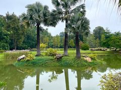 -中国科学院华南植物园