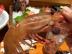 -月龍吟(朝龙汇店)