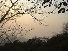 -紫金山天文台