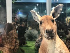 -郑州自然博物馆(惠济区)