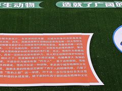 -青藏高原野生动物园