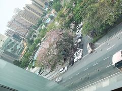 -中山保利艾美酒店-乐美中餐厅