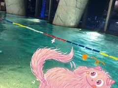 泳池-广州四季酒店
