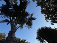 -曼听御花园
