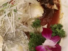 -东北大院·东北菜(三台子店)