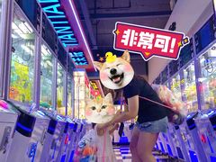 -天天玩X秋葉原日系动漫游戏中心