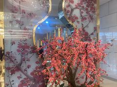 -中国宋庆龄青少年科技文化交流中心