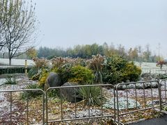 -西安浐灞国家湿地公园