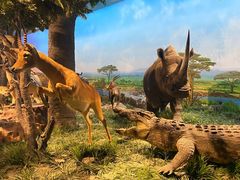 -国家自然博物馆