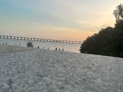 -宝安西湾红树林湿地公园