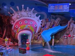 -烟台海昌鲸鲨海洋公园