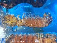 -海港酒家(始创中心店)