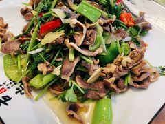 孜然鸡胗-清真·同发顺饭庄·烧麦(总店)