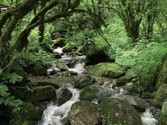 -神农架景区