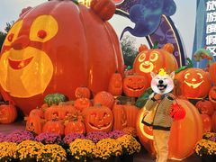 -郑州方特梦幻王国