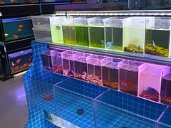 -花鸟鱼古玩市场