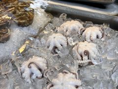 -铭聚章鱼土笋冻(松柏店)